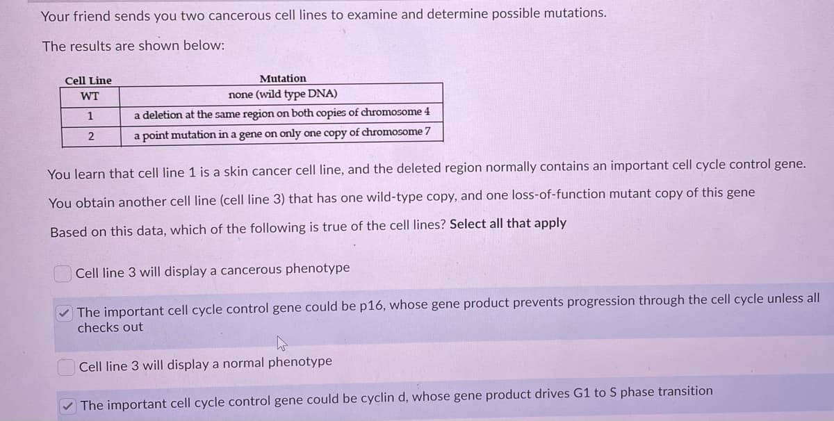 Your friend sends you two cancerous cell lines to examine and determine possible mutations.
The results are shown below:
Cell Line
Mutation
WT
none (wild type DNA)
1
a deletion at the same region on both copies of chromosome 4
2
a point mutation in a gene on only one copy of chromosome 7
You learn that cell line 1 is a skin cancer cell line, and the deleted region normally contains an important cell cycle control gene.
You obtain another cell line (cell line 3) that has one wild-type copy, and one loss-of-function mutant copy of this gene
Based on this data, which of the following is true of the cell lines? Select all that apply
Cell line 3 will display a cancerous phenotype
The important cell cycle control gene could be p16, whose gene product prevents progression through the cell cycle unless all
checks out
Cell line 3 will display a normal phenotype
V The important cell cycle control gene could be cyclin d, whose gene product drives G1 to S phase transition
