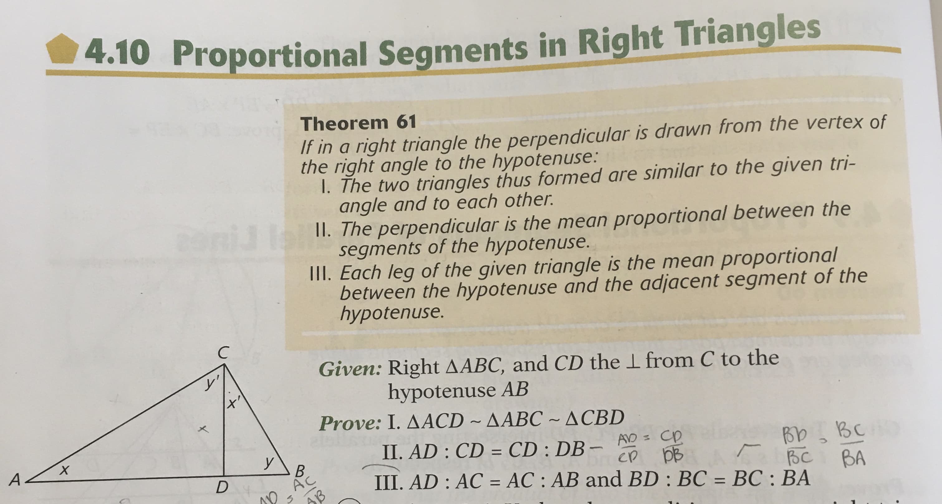 4.10 Proportional Segments in Right Triangles
Theorem 61
It in a right triangle the perpendicular is drawn from the vertex of
the right angle to the hypotenuse:
1. The two triangles thus formed are similar to the given tri-
angle and to each other.
II. The perpendicular is the mean proportional between the
segments of the hypotenuse.
II. Each leg of the given triangle is the mean proportional
between the hypotenuse and the adjacent segment of the
hypotenuse.
Given: Right AABC, and CD the I from C to the
hypotenuse AB
Prove: I. AACD ~ AABC ~ ACBD
II. AD : CD = CD : DB –
AD = CD
Bb BC
BA
%3D
B.
AC
DB
ep
вс
III. AD : AC = AC : AB and BD : BC = BC : BA
ло
%3D
AB
%3D
