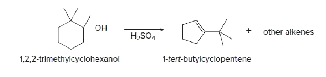 HO-
other alkenes
H2SO4
1,2,2-trimethylcyclohexanol
1-tert-butylcyclopentene
