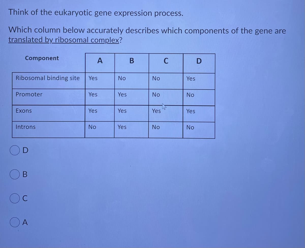 Think of the eukaryotic gene expression process.
Which column below accurately describes which components of the gene are
translated by ribosomal complex?
Component
A
В
D
Ribosomal binding site
Yes
No
No
Yes
Promoter
Yes
Yes
No
No
Exons
Yes
Yes
Yes
Yes
Introns
No
Yes
No
No
C
O A

