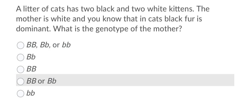 A litter of cats has two black and two white kittens. The
mother is white and you know that in cats black fur is
dominant. What is the genotype of the mother?
ВВ, ВЬ, or bb
Bb
BB
BB or Bb
bb
