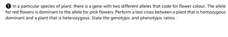 O In a particular species of plant, there is a gene with two different alleles that code for flower colour. The allele
for red flowers is dominant to the allele for pink flowers. Perform a test cross between a plant that is homozygous
dominant and a plant that is heterozygous. State the genotypic and phenotypic ratios.
