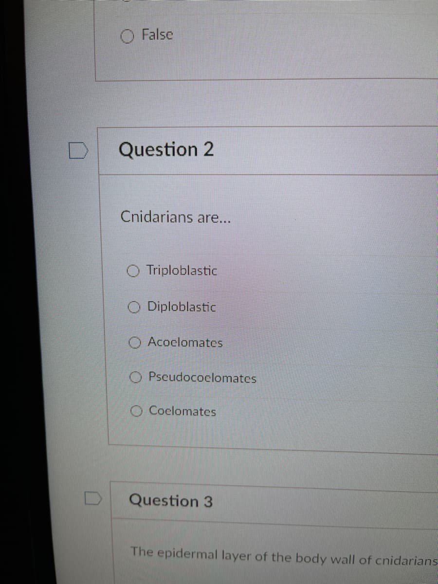 O False
Question 2
Cnidarians are...
Triploblastic
O Diploblastic
O Acoclomates
O Pscudococlomates
O Coclomates
Question 3
The epidermal layer of the body wall of cnidarians
