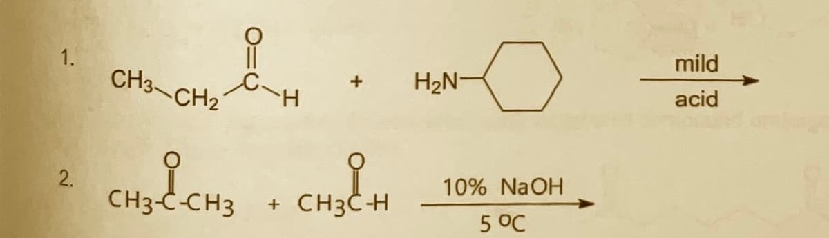 mild
1.
CH3 CH2
H2N-
acid
2.
10% NaOH
CH3-C-CH3
CH3CH
5 °C
