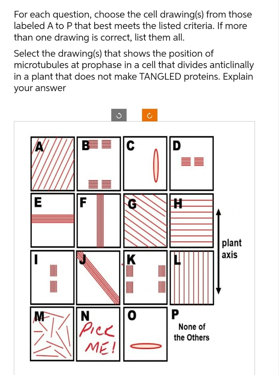 For each question, choose the cell drawing(s) from those
labeled A to P that best meets the listed criteria. If more
than one drawing is correct, list them all.
Select the drawing(s) that shows the position of
microtubules at prophase in a cell that divides anticlinally
in a plant that does not make TANGLED proteins. Explain
your answer
A
E
B C
M
F
G
|к
ENE
N
PICK
ME!
Ċ
0
D
#
P
None of
the Others
plant
axis