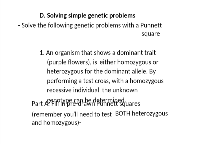 D. Solving simple genetic problems
- Solve the following genetic problems with a Punnett
square
1. An organism that shows a dominant trait
(purple flowers), is either homozygous or
heterozygous for the dominant allele. By
performing a test cross, with a homozygous
recessive individual the unknown
Part Andsterminduares
(remember you'll need to test BOTH heterozygous
and homozygous)-
