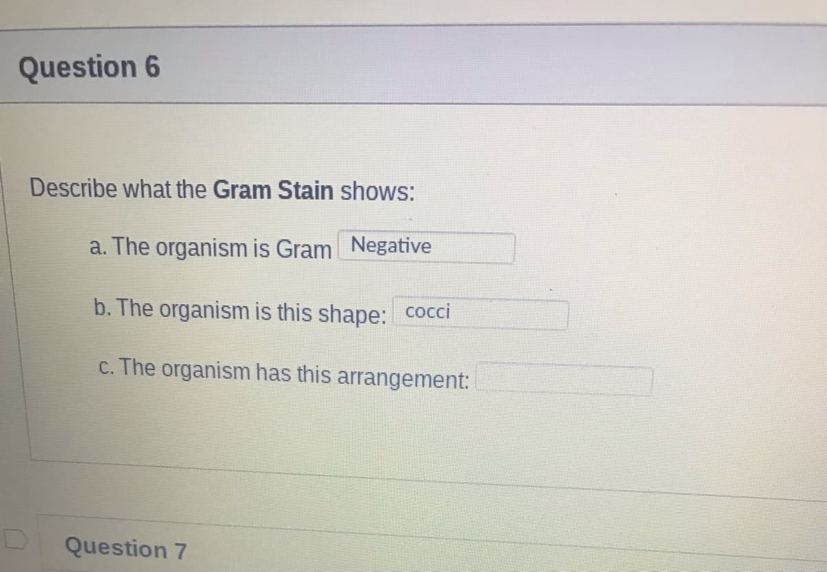 Question 6
Describe what the Gram Stain shows:
a. The organism is Gram Negative
b. The organism is this shape: cocci
c. The organism has this arrangement:
Question 7
