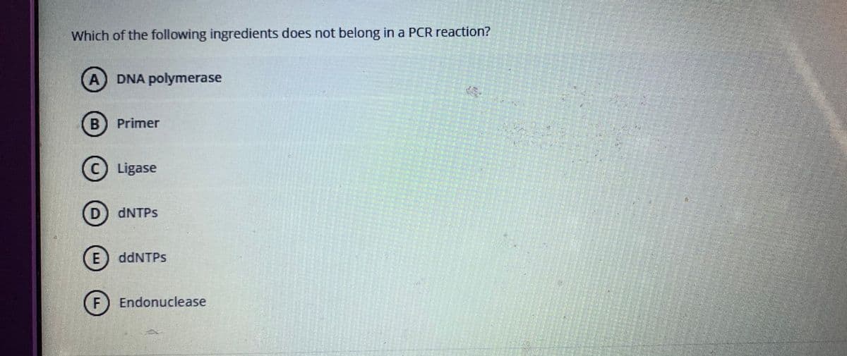 Which of the following ingredients does not belong in a PCR reaction?
(A) DNA polymerase
B
Primer
Ligase
D) DNTPS
E) ddNTPs
F) Endonuclease
