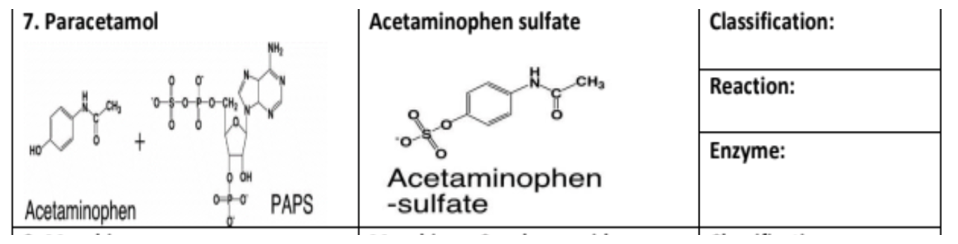 7. Paracetamol
Acetaminophen sulfate
Classification:
CH3
Reaction:
Enzyme:
Acetaminophen
-sulfate
o0 PAPS
Acetaminophen
