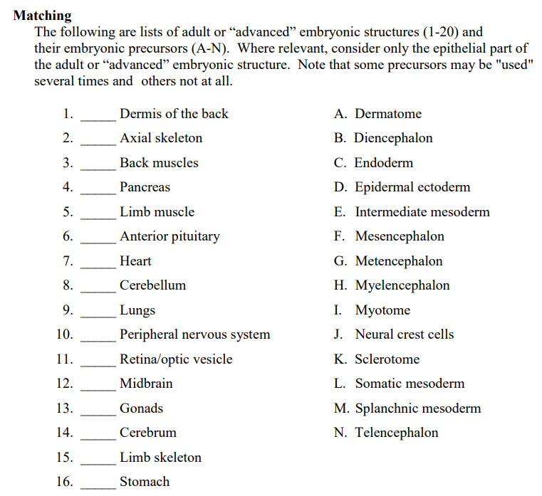 Matching
The following are lists of adult or "advanced" embryonic structures (1-20) and
their embryonic precursors (A-N). Where relevant, consider only the epithelial part of
the adult or "advanced" embryonic structure. Note that some precursors may be "used"
several times and others not at all.
1.
2.
3.
4.
5.
6.
7.
8.
9.
10.
11.
12.
13.
14.
15.
16.
—
Dermis of the back
Axial skeleton
Back muscles
Pancreas
Limb muscle
Anterior pituitary
Heart
Cerebellum
Lungs
Peripheral nervous system
Retina/optic vesicle
Midbrain
Gonads
Cerebrum
Limb skeleton
Stomach
A. Dermatome
B. Diencephalon
C. Endoderm
D. Epidermal ectoderm
E. Intermediate mesoderm
F. Mesencephalon
G. Metencephalon
H. Myelencephalon
I. Myotome
J. Neural crest cells
K. Sclerotome
L. Somatic mesoderm
M. Splanchnic mesoderm
N. Telencephalon