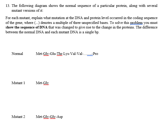 13. The following diagram shows the normal sequence of a particular protein, along with several
mutant versions of it:
For each mutant, explain what mutation at the DNA and protein level occurred in the coding sequence
of the gene, where (...) denotes a multiple of three unspecified bases. To solve this problem you must
show the sequence of DNA that was changed to give rise to the change in the proteins. The difference
between the normal DNA and each mutant DNA is a single bp.
Normal
Met-Gly-Glu-Thr-Lys-Val-Val-..
--Pro
www.
Mutant 1
Met-Gly
Mutant 2
Met-Gly-Gly-Asp
