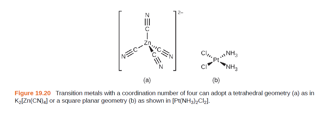 2-
V三C
Pt.
EHN"
CI
"NH3
(a)
(b)
Figure 19.20 Transition metals with a coordination number of four can adopt a tetrahedral geometry (a) as in
K2[Zn(CN)4] or a square planar geometry (b) as shown in [Pt(NH3)2Cl2].
z三0ード
