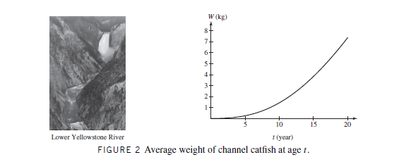W (kg)
6+
10
20
Lower Yellowstone River
I (year)
FIGURE 2 Average weight of channel catfish at age t.
