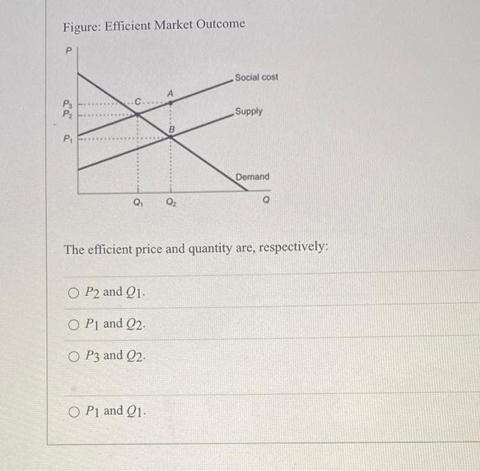 Figure: Efficient Market Outcome
Social cost
P3
P2
Supply
Demand
The efficient price and quantity are, respectively:
O P2 and Q1.
O P1 and Q2.
O P3 and 2.
O P1 and Q1.
