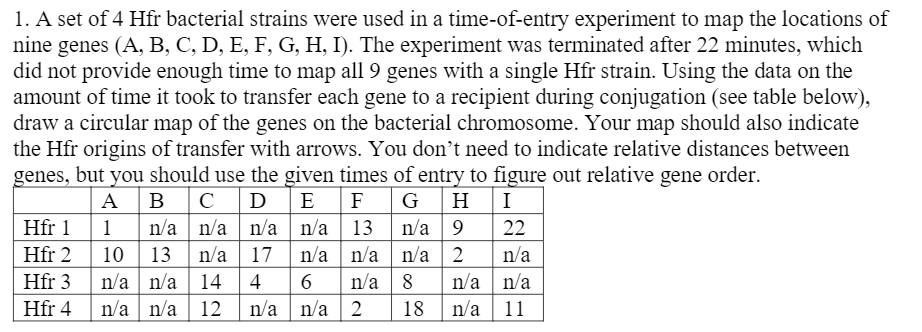 1. A set of 4 Hfr bacterial strains were used in a time-of-entry experiment to map the locations of
nine genes (A, B, C, D, E, F, G, H, I). The experiment was terminated after 22 minutes, which
did not provide enough time to map all 9 genes with a single Hfr strain. Using the data on the
amount of time it took to transfer each gene to a recipient during conjugation (see table below),
draw a circular map of the genes on the bacterial chromosome. Your map should also indicate
the Hfr origins of transfer with arrows. You don't need to indicate relative distances between
genes, but you should use the given times of entry to figure out relative gene order.
G H
n/a 13 n/a 9
в с
n/a n/a n/a
|13 n/a 17
n/a 14
n/a n/a| 12
А
D
E
F
I
Hfr 1
Hfr 2
1
22
10
n/a n/a n/a
2
n/a
n/a |8
n/a n/a
n/a 11
Hfr 3
n/a
4
Hfr 4
n/a
n/a 2
18
