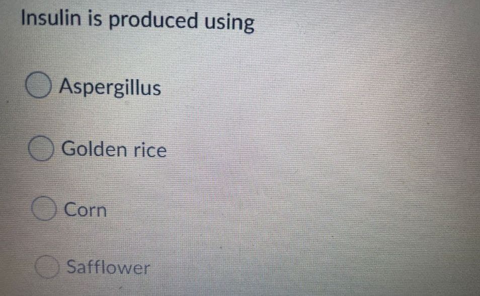 Insulin is produced using
Aspergillus
OGolden rice
Corn
O Safflower
