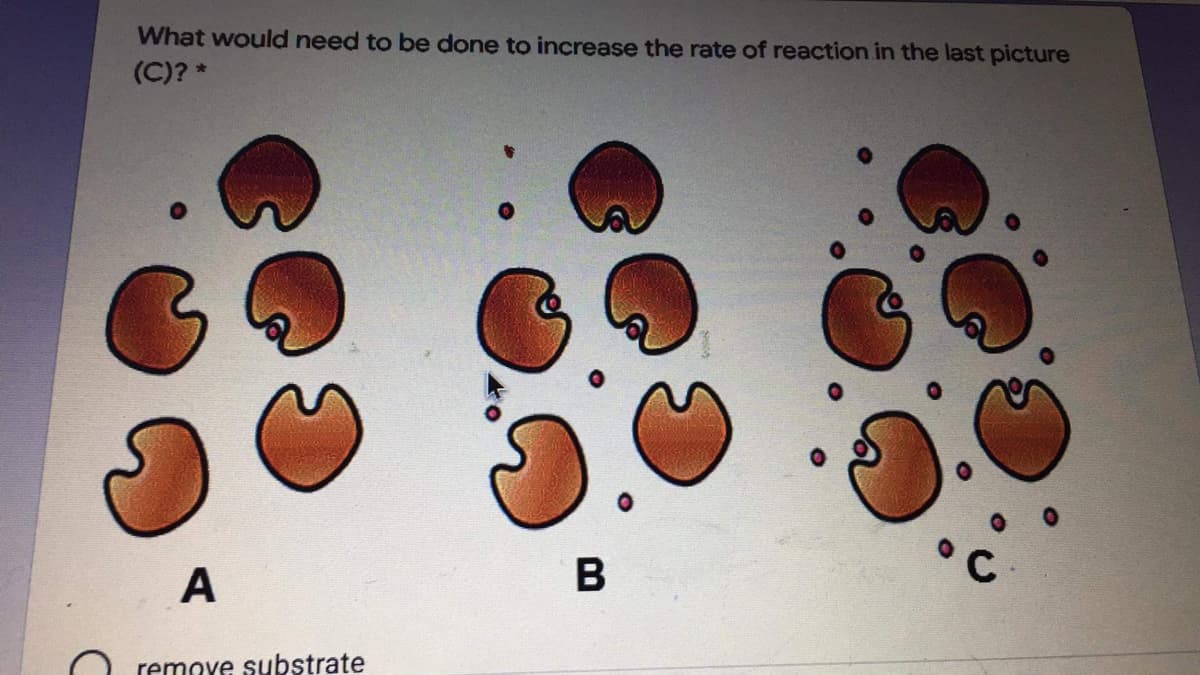 What would need to be done to increase the rate of reaction in the last picture
(C)? *
A
remove substrate

