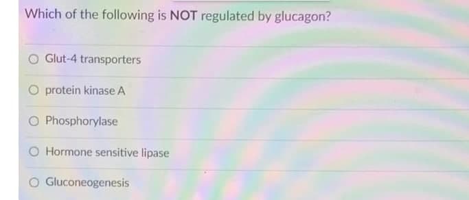 Which of the following is NOT regulated by glucagon?
Glut-4 transporters
O protein kinase A
O Phosphorylase
O Hormone sensitive lipase
O Gluconeogenesis
