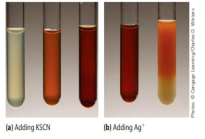 (a) Adding KSCN
(b) Adding Ag*
Photas D Cangage Laaming/Carles O. Wners
