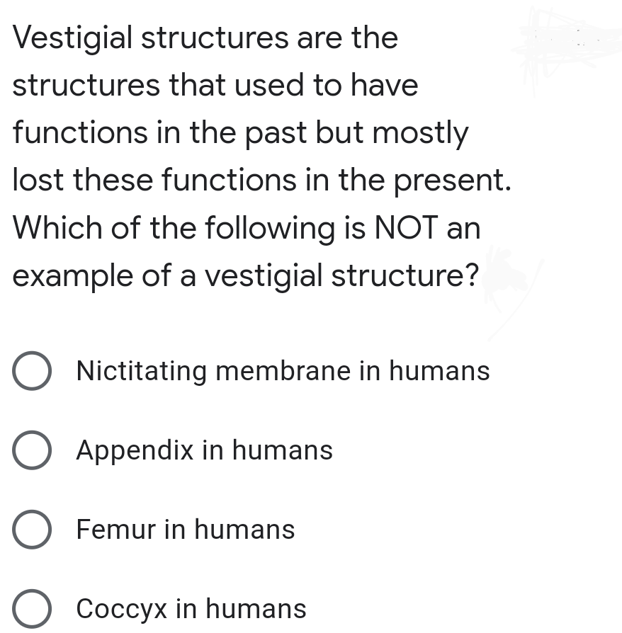 Vestigial structures are the
structures that used to have
functions in the past but mostly
lost these functions in the present.
Which of the following is NOT an
example of a vestigial structure?
Nictitating membrane in humans
Appendix in humans
O Femur in humans
O Coccyx in humans
o o O
