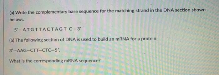 (a) Write the complementary base sequence for the matching strand in the DNA section shown
below:.
5' - ATGTTACTAGT C-3'
(b) The following section of DNA is used to build an MRNA for a protein:
3'-AAG-CTT-CTC-5'.
What is the corresponding mRNA sequence?
