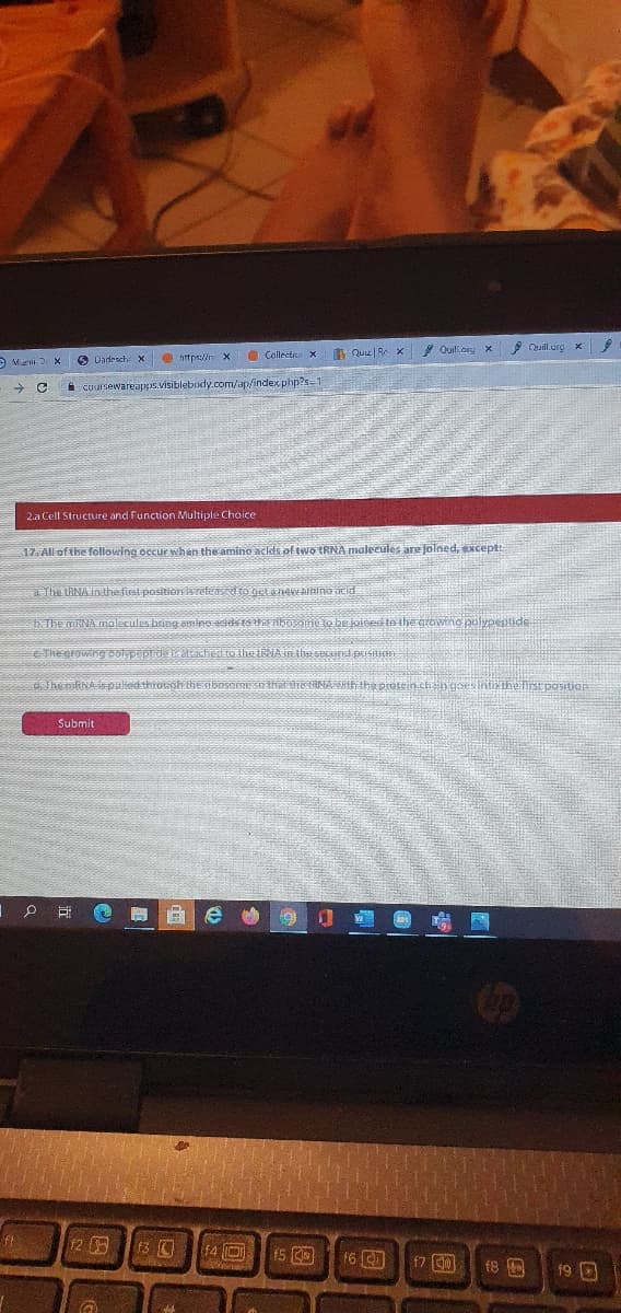 h Que | Re x
P Ouili.org x
* Quill.urg x
O Dadesch x
O nttps:// X
O Collectiv x
A Migrni 3 x
i cuursewareapps.visiblebudy.com/ap/index php?s=1
2.a Cell Structure and Function Multiple Choice
17. All of the following occur when the amino ackds of two TRNA malecules are jolned, except:
a The tRNA in the first positien isreteassd to get alVEainino acid
. The MRNA malecules bsing.
ac hoOome lo bejoiee to the growing poypentide
The eroving potypepei atached ia the i
d. The mRNA s puliedthiotagh
intithe first position
Submit
12
13 0
16 C
f8 回
19 D
