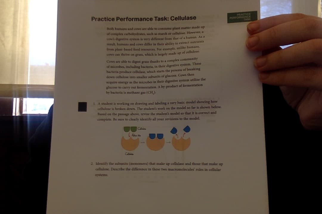 Practice Performance Task: Cellulase
PRACTICE
PERFOR K
Both humans and cows are able to consume plant matter made up
of complex carbolydrates, such as starch or cellulose. However, a
cow's digestive system is very different from that of a human. As a
result, humans and cows differ in their ability to extract nutrients
from plant-based food resources For example, unlike humans,
vows can thrive on grass, which is largely made up of cellulose
Cows are able to digest grass thanks to a complex community
of microbes, inchading bacteria, in their digestive system. These
bacteria prodoce cellulase, which starts the process of breaking
down cellulose into smaller sobbunits of ghacose. Cows then
acquire energy as the microbes in their digestive system utilize the
glucose to carry out fermentation. A by-product of fermentation
by bacteria is methane gas (CH,)
1. A student is working on drawing and labeling a very basic model showing how
cellulose is broken down. The students work on the model so far is shown below.
Rased on the passage above, revise the student's model so that it is correct and
complete. Be sure to clearly identify all your revisions to the model.
2 Identify the subunits (monomers) that make up cellulase and those that make up
cellulose. Describe the difference in these two macromolecules' roles in cellular
systems.
