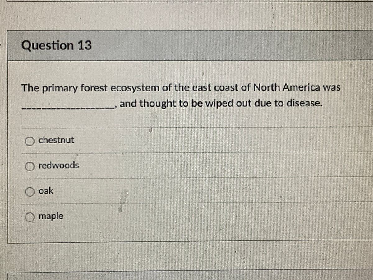 Question 13
The primary forest ecosystem of the east coast of North America was
and thought to be wiped out due to disease.
O chestnut
O redwoods
O oak
Omaple
