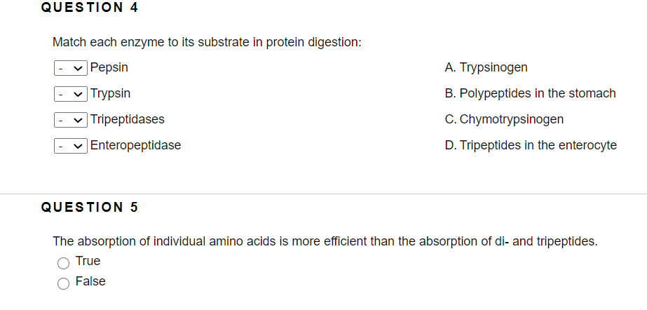 QUESTION 4
Match each enzyme to its substrate in protein digestion:
Pepsin
A. Trypsinogen
|Trypsin
B. Polypeptides in the stomach
v Tripeptidases
C. Chymotrypsinogen
|Enteropeptidase
D. Tripeptides in the enterocyte
QUESTION 5
The absorption of individual amino acids is more efficient than the absorption of di- and tripeptides.
True
False
