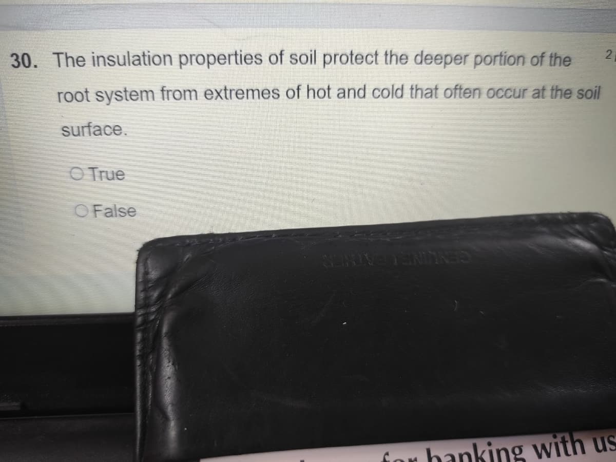 30. The insulation properties of soil protect the deeper portion of the
root system from extremes of hot and cold that often occur at the soil
surface.
OTrue
O False
GENUINELEATHER
for bapking with us

