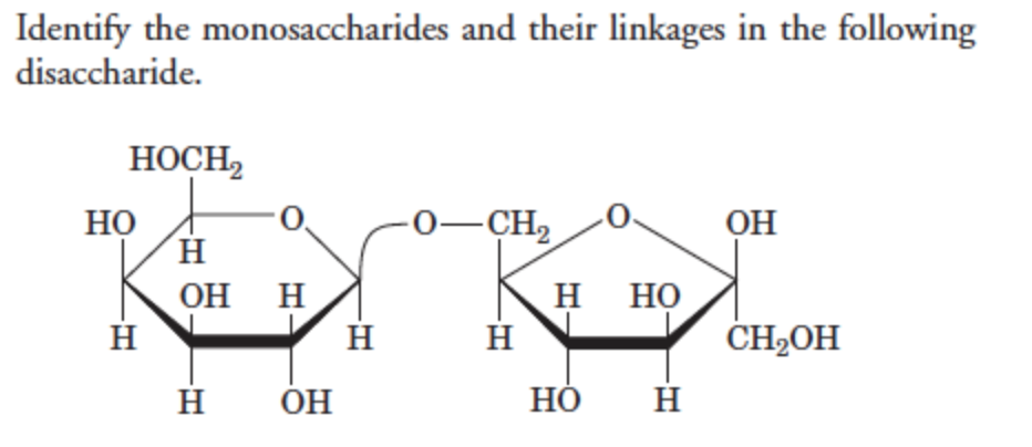 Identify the monosaccharides and their linkages in the following
disaccharide.
HOCH,
Но
H.
-0-CH2
OH
Он Н
н но
ČH2OH
H
OH
Но
H
