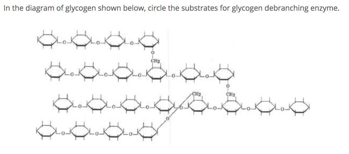 In the diagram of glycogen shown below, circle the substrates for glycogen debranching enzyme.
CH2
CH2
CH2
