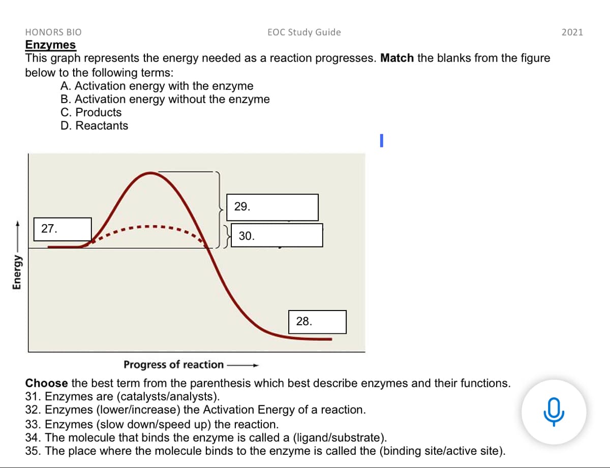 HONORS BIO
EOC Study Guide
2021
Enzymes
This graph represents the energy needed as a reaction progresses. Match the blanks from the figure
below to the following terms:
A. Activation energy with the enzyme
B. Activation energy without the enzyme
C. Products
D. Reactants
29.
27.
30.
28.
Progress of reaction
Choose the best term from the parenthesis which best describe enzymes and their functions.
31. Enzymes are (catalysts/analysts).
32. Enzymes (lower/increase) the Activation Energy of a reaction.
33. Enzymes (slow down/speed up) the reaction.
34. The molecule that binds the enzyme is called a (ligand/substrate).
35. The place where the molecule binds to the enzyme is called the (binding site/active site).
Energy
