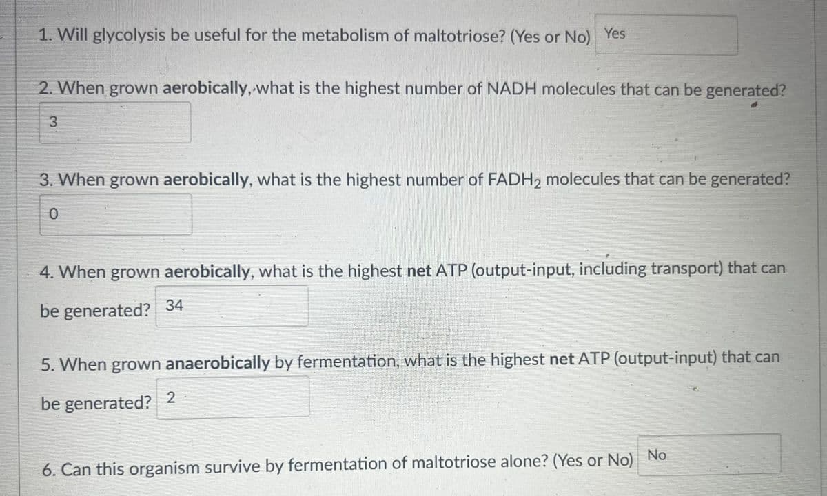 1. Will glycolysis be useful for the metabolism of maltotriose? (Yes or No) Yes
2. When grown aerobically, what is the highest number of NADH molecules that can be generated?
3
3. When grown aerobically, what is the highest number of FADH₂ molecules that can be generated?
0
4. When grown aerobically, what is the highest net ATP (output-input, including transport) that can
be generated? 34
5. When grown anaerobically by fermentation, what is the highest net ATP (output-input) that can
be generated?
2
6. Can this organism survive by fermentation of maltotriose alone? (Yes or No)
No