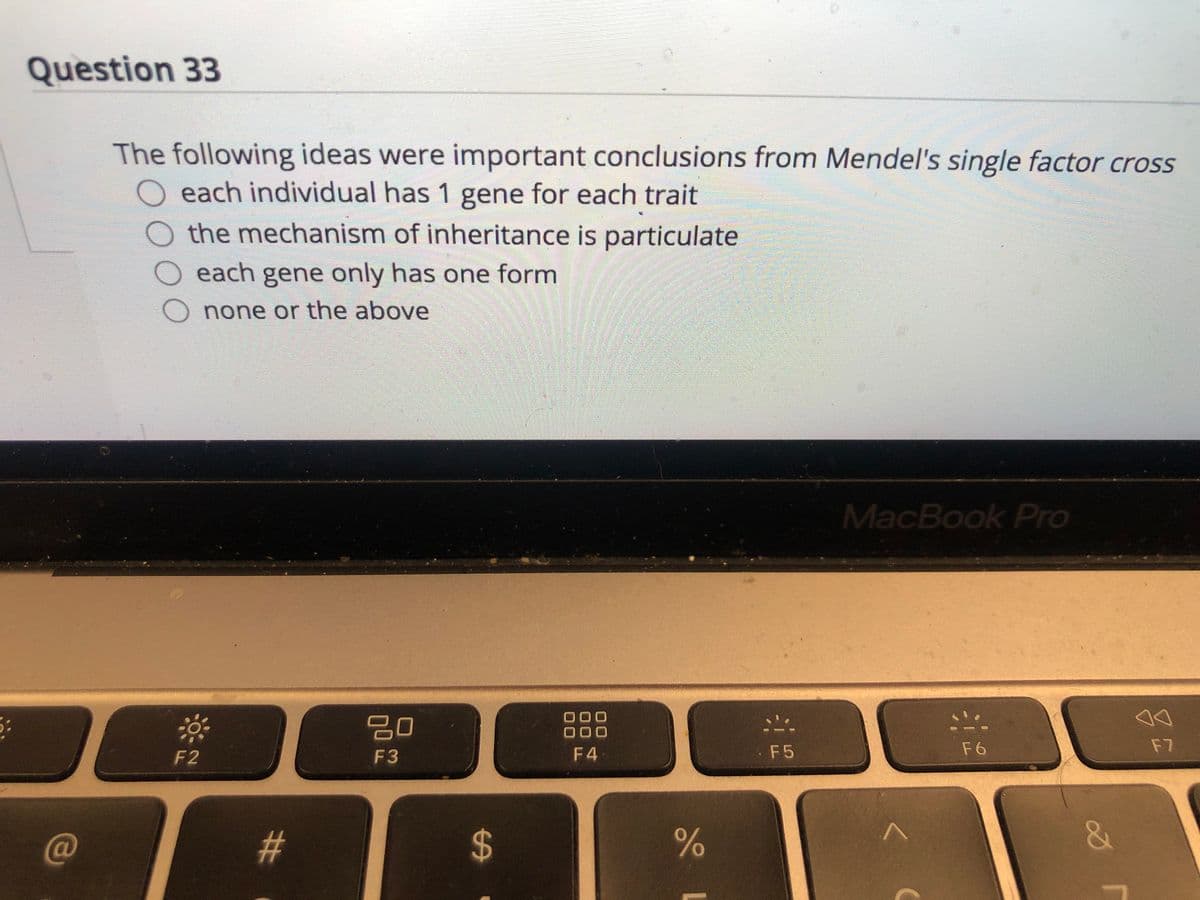Question 33
The following ideas were important conclusions from Mendel's single factor cross
each individual has 1 gene for each trait
the mechanism of inheritance is particulate
O each gene only has one form
O none or the above
MacBook Pro
20
000
000
F2
F3
F 4
. F5
F 6
F7
C@
%23
%24
