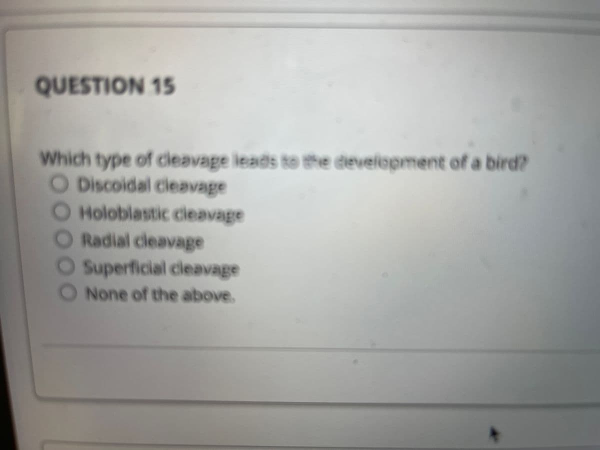 QUESTION 15
Which type of cleavage leads to the development of a bird?
O Discoidal cleavage
Holoblastic cleavage
Radial cleavage
O Superficial cleavage
O None of the above.
