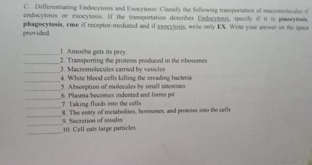 C Differentiating Endocytosis and Exocytosis: Classify the following transportation of macromolecules if
endocytosis or exocytosis. If the transportation describes Endocytosis, specify if it is pinocytosis,
phagocytosis, rme if receptor-mediated and if exocytosis, write only EX Write your answer on the space
provided.
1. Amoeba gets its prey.
2. Transporting the proteins produced in the ribosomes
3. Macromolecules carried by vesicles
4. White blood cells killing the invading bacteria
5. Absorption of molecules by small intestines
6. Plasma becomes indented and forms pit
7. Taking fluids into the cells
8. The entry of metabolites, hormones, and proteins into the cells
9. Secretion of insulin
10. Cell cats large particles
