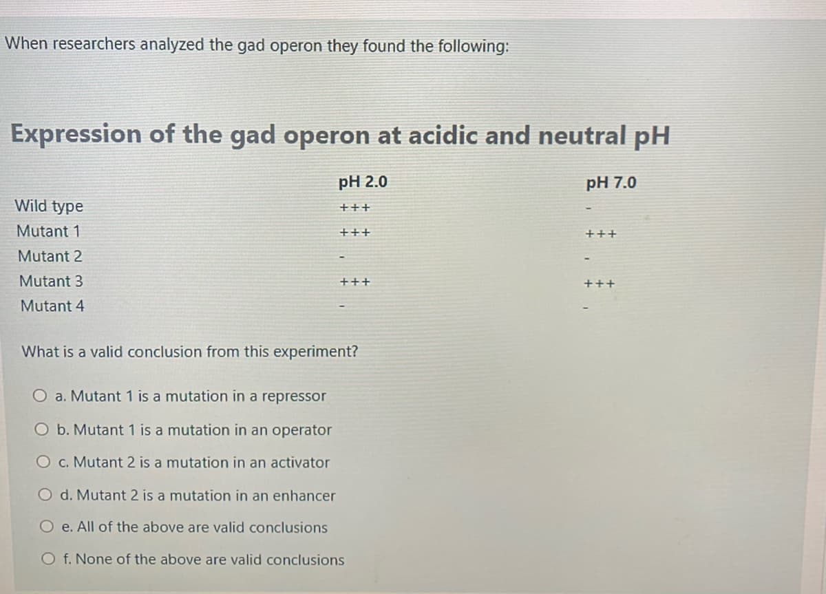 When researchers analyzed the gad operon they found the following:
Expression of the gad operon at acidic and neutral pH
рH 2.0
pH 7.0
Wild type
+++
Mutant 1
+++
+++
Mutant 2
Mutant 3
+++
+++
Mutant 4
What is a valid conclusion from this experiment?
O a. Mutant 1 is a mutation in a repressor
O b. Mutant 1 is a mutation in an operator
O c. Mutant 2 is a mutation in an activator
O d. Mutant 2 is a mutation in an enhancer
O e. All of the above are valid conclusions
O f. None of the above are valid conclusions

