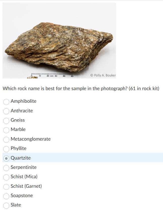 Amphibolite
Anthracite
Which rock name is best for the sample in the photograph? (61 in rock kit)
Gneiss
Marble
20 mm 30
Metaconglomerate
Phyllite
Quartzite
Serpentinite
Schist (Mica)
Schist (Garnet)
Soapstone
Slate
Ⓒ Polly A. Bouker