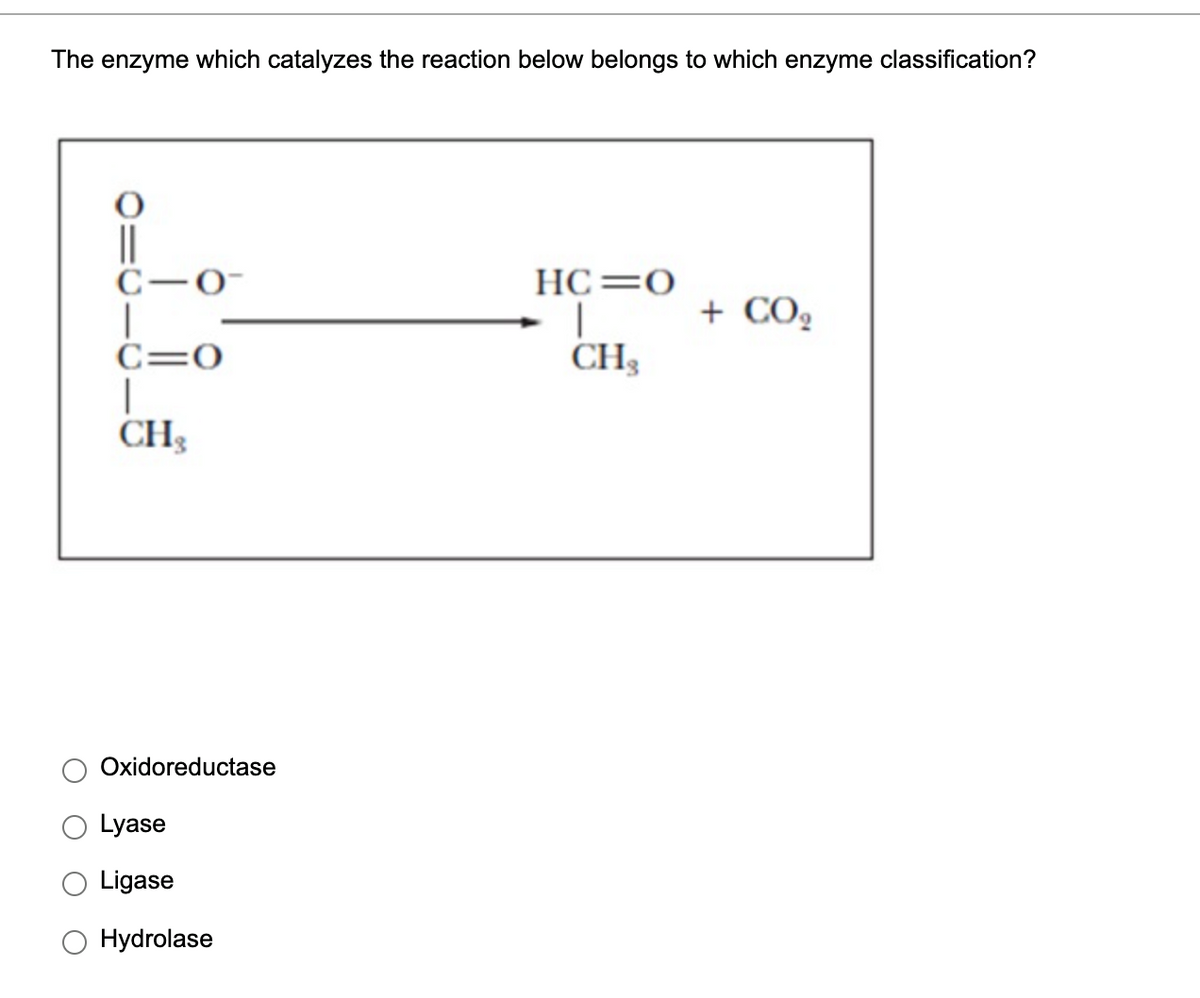 The enzyme which catalyzes the reaction below belongs to which enzyme classification?
||
C-0-
HC=0
+ CO,
C=0
CH
CH;
Oxidoreductase
Lyase
Ligase
O Hydrolase
