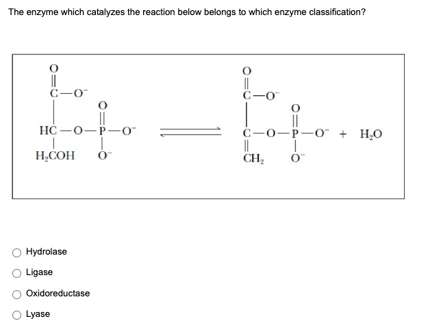 The enzyme which catalyzes the reaction below belongs to which enzyme classification?
||
C-0
C-0
||
HC -0-P-0
C-0-P-0" + H¿O
||
CH2
H,COH
Hydrolase
Ligase
Oxidoreductase
Lyase
