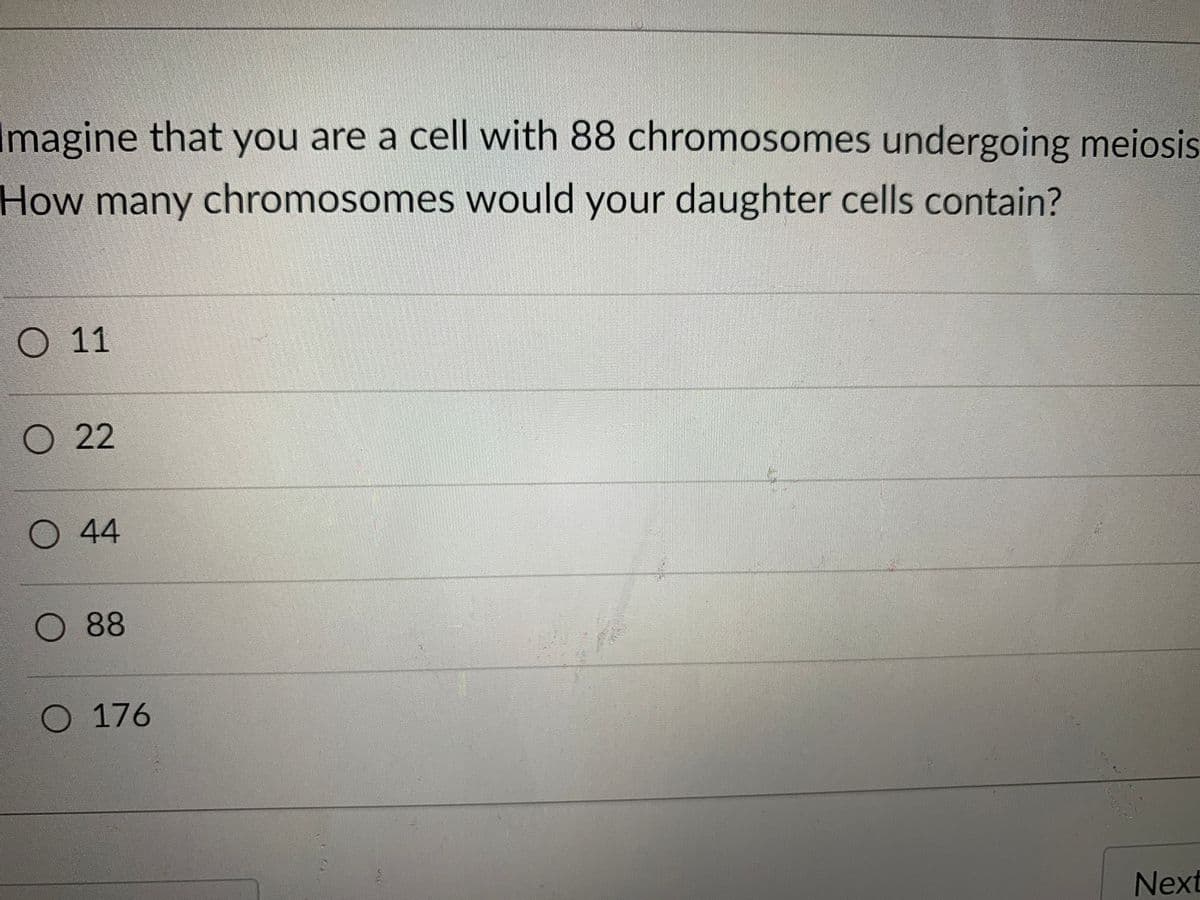 Imagine that you are a cell with 88 chromosomes undergoing meiosis
How many chromosomes would your daughter cells contain?
O 11
O 22
O 44
88
O 176
Next
