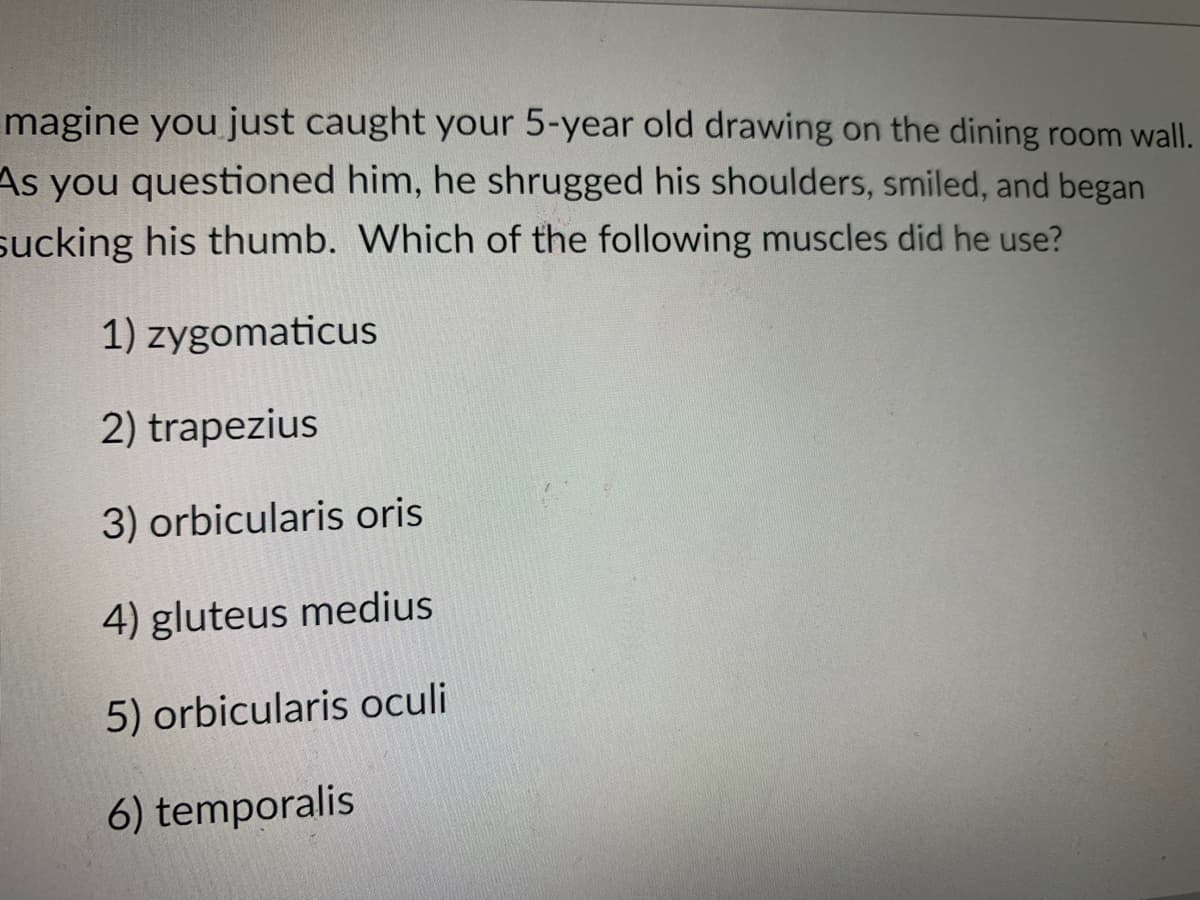 magine you just caught your 5-year old drawing on the dining room wall.
As you questioned him, he shrugged his shoulders, smiled, and began
sucking his thumb. Which of the following muscles did he use?
1) zygomaticus
2) trapezius
3) orbicularis oris
4) gluteus medius
5) orbicularis oculi
6) temporalis
