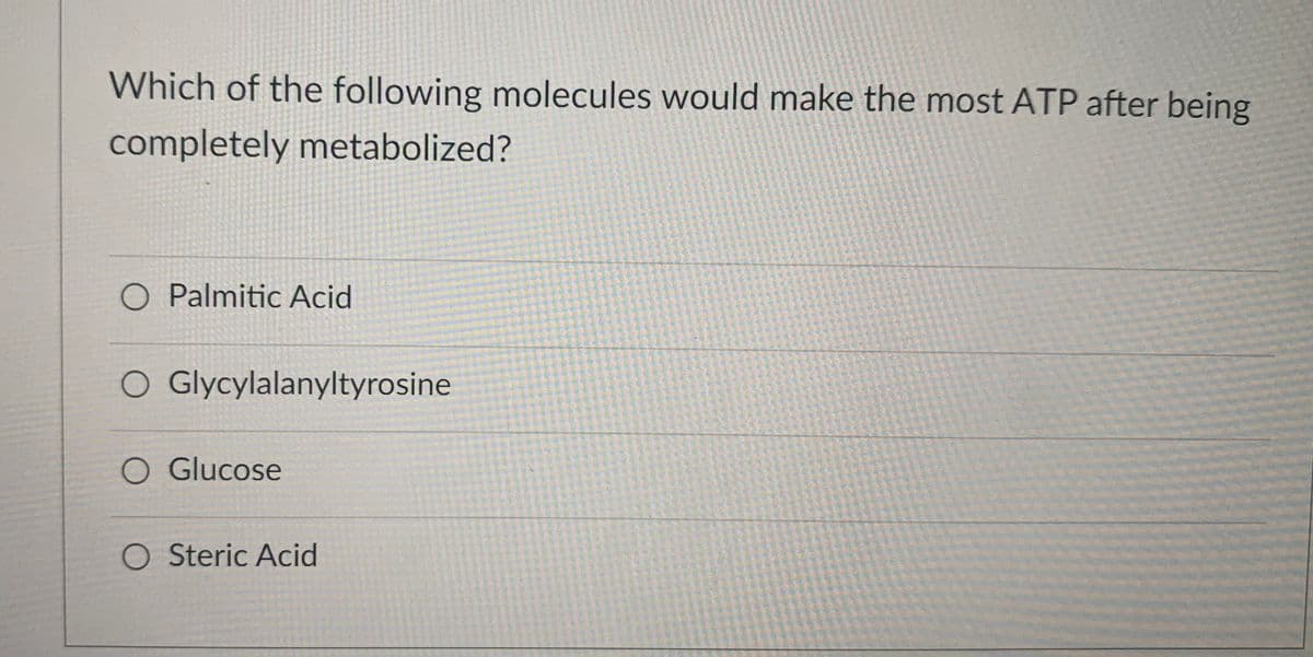 Which of the following molecules would make the most ATP after being
completely metabolized?
O Palmitic Acid
O Glycylalanyltyrosine
O Glucose
O Steric Acid
