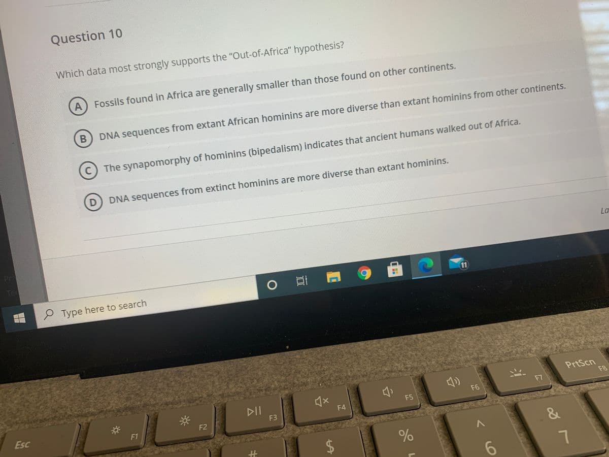 Question 10
Which data most strongly supports the "Out-of-Africa" hypothesis?
A) Fossils found in Africa are generally smaller than those found on other continents.
DNA sequences from extant African hominins are more diverse than extant hominins from other continents.
The synapomorphy of hominins (bipedalism) indicates that ancient humans walked out of Africa.
DNA sequences from extinct hominins are more diverse than extant hominins.
Pr
La
Ter
11
P Type here to search
PrtScn
F8
DII
F6
F7
Esc
F4
F5
F2
F3
F1
6.
96
%24
