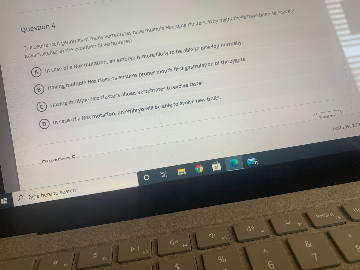 Question 4
The sequenced genomes of many vertebrates have multiple Hox gene clusters. Why might these have been selectively
advantageous in the evolution of vertebrates?
In case of a Hox mutation, an embryo is more likely to be able to develop normally.
A
B) Having multiple Hox clusters ensures proper mouth-first gastrulation of the zygote.
Having multiple Hox clusters allows vertebrates to evolve faster.
D) In case of a Hox mutation, an embryo will be able to evolve new traits.
2 Points
Question 5.
Last saved 1:0
er
11
P Type here to search
Ho
PrtScn
F8
DII
F6
F7
F4
F5
F1
F2
F3
24
6
