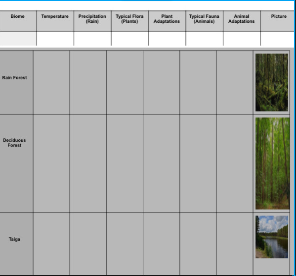 Biome
Typical Flora
(Plants)
Temperature
Precipitation
(Rain)
Plant
Typical Fauna
(Animals)
Animal
Picture
Adaptations
Adaptations
Rain Forest
Deciduous
Forest
Taiga
