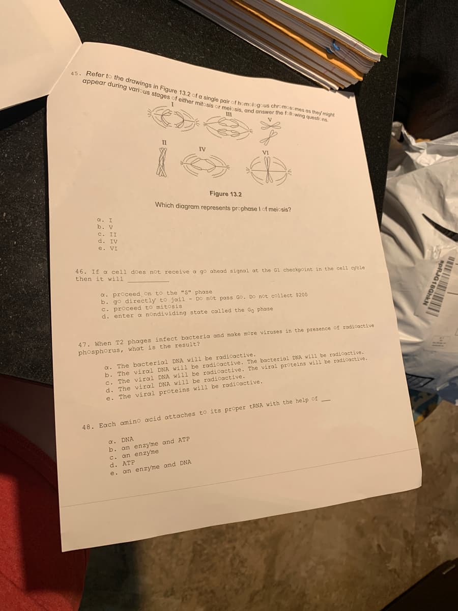 appear during various stages of either mitosis or meiosis, and answer the following questions.
45. Refer to the drawings in Figure 13.2 of a single pair of homologous chromosomes as they might
II
II
IV
VI
Figure 13.2
Which diagram represents prophase I of meiosis?
a.
b. v
II
d. IV
e. VI
c.
46. If a cell does not receive a go ahead signal at the Gl checkpoint in the cell cycle
then it will
a. proceed on to the "S" phase
b. go directly to jail
c. proceed to mitosis
d. enter a nondividing state called the Go phase
DO not pass GO. DO not collect $200
47. When T2 phages infect bacteria and make more viruses in the presence of radioactive
phosphorus, what is the result?
The bacterial DNA will be radioactive.
The viral DNA will be radioactive. The boacterial DNA will be radioactive.
The viral DNA will be radioactive. The viral proteins will be radioactive.
b.
c.
The viral DNA will be radioactive.
d.
e. The viral proteins will be radioactive.
48. Each amino acid attaches to its proper tRNA with the help of
a. DNA
b. an enzyme and ATP
c. an enzy'me
d. ATP
e. an enzyme and DNA
