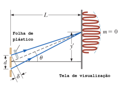 ·L-
m= 0
Folha de
plástico
Tela de visualização
