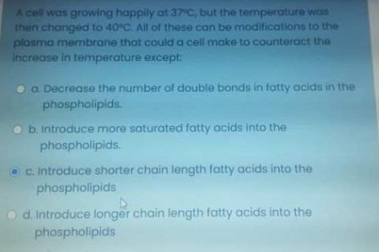 A cell was growing happily at 37 C, but the temperature was
then changed to 40 C. All of these can be modifications to the
plasma membrane that could a cell make to counteract the
increase in temperature except:
a. Decrease the number of double bonds in fatty acids in the
phospholipids.
Ob. Introduce more saturated fatty acids into the
phospholipids.
Oc. Introduce shorter chain length fatty acids into the
phospholipids
O d. Introduce longer chain length fatty acids into the
phospholipids
